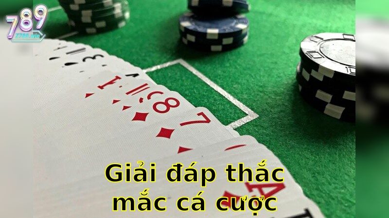 Giải Đáp Thắc Mắc Cá Cược Online - Tất Tần Tật Về Thế Giới Cá Cược 2025